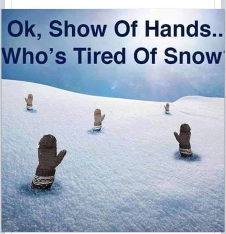 Snow Problem