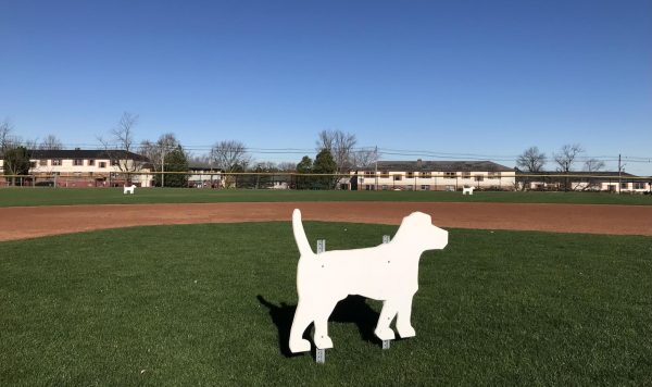 Who Let the Dogs Out (On the Baseball Field)?