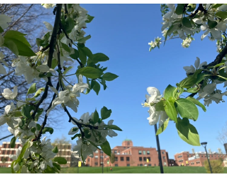 Dreams of Spring: Le Moyne Welcomes First 60-Degree Day in Four Months